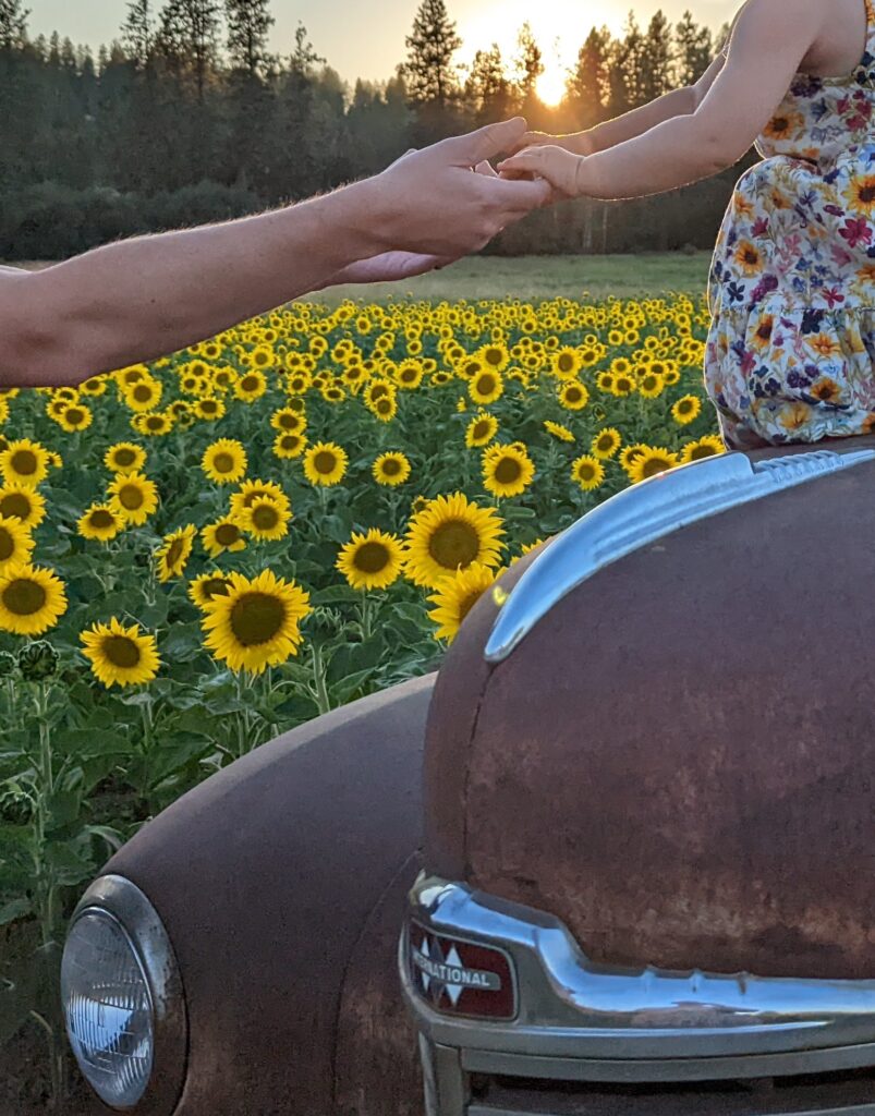 pxl 20220730 025158774~2 PXL 20220730 0251587742 803x1024