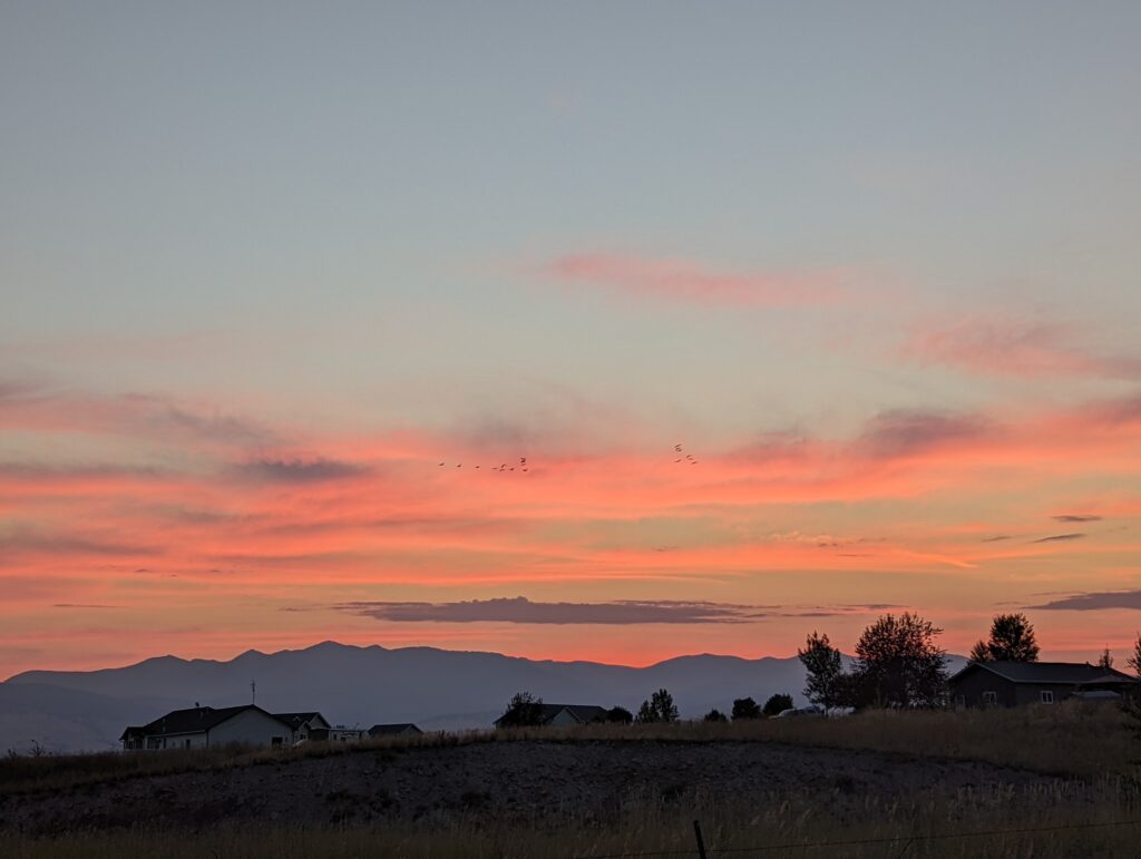 Primrose Meadow campground 2022