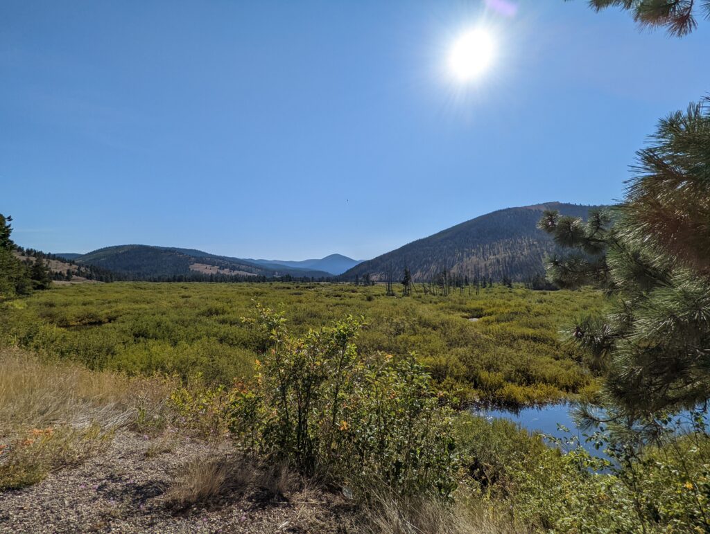 Road trip views 2022