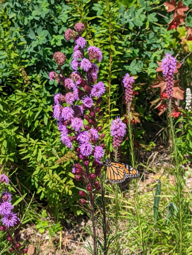 Apostle Island visitor center 2022