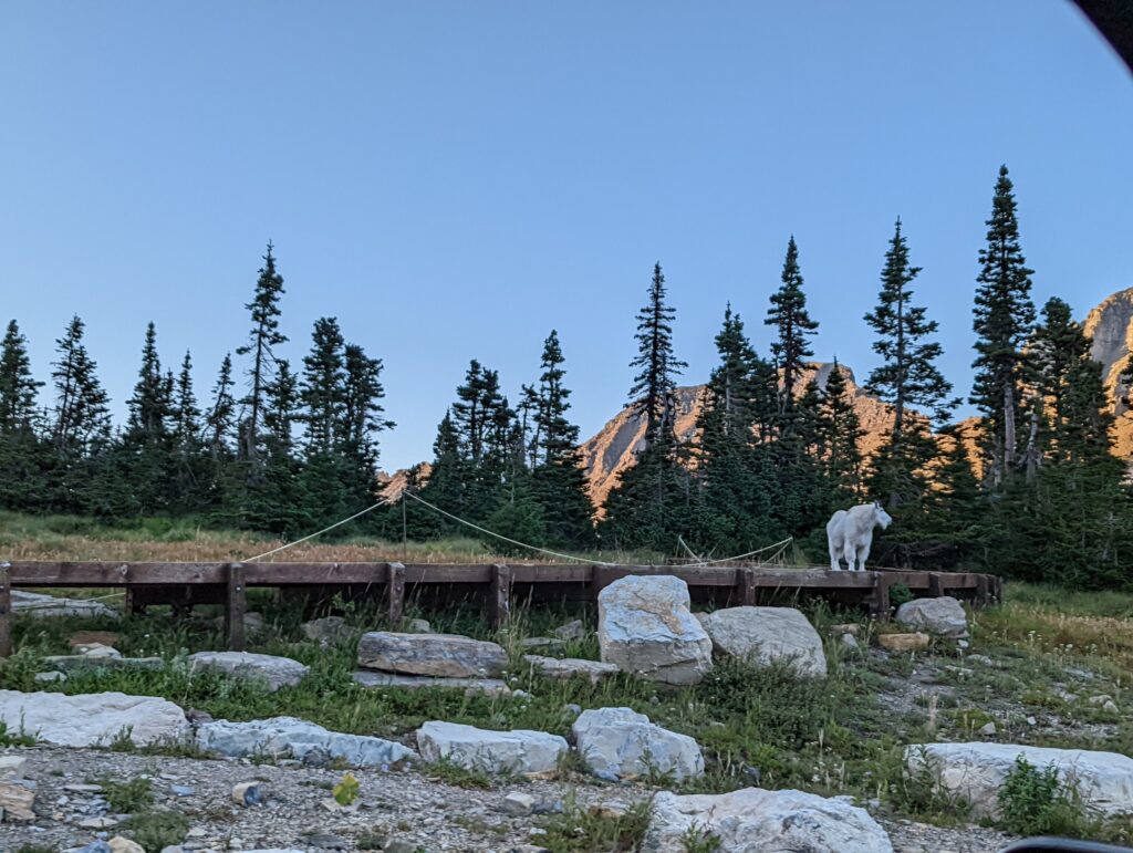 Glacier National Park 2022